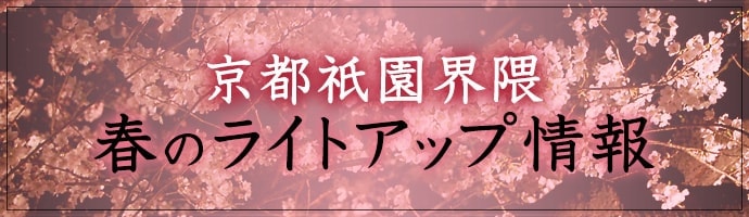 京都祇園界隈　春のライトアップ情報