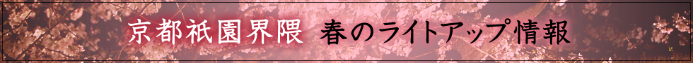 京都祇園界隈　春のライトアップ情報