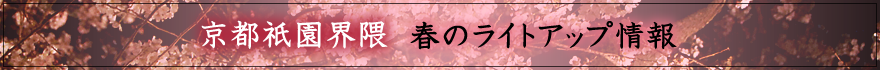 京都祇園界隈　春のライトアップ情報